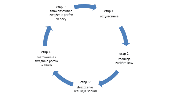 pore-revolution-schemat